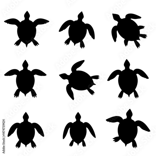 Set turtle silhouette isolated vector on white background

