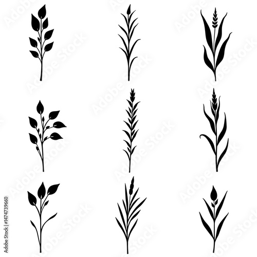 Grass silhouette set in white background