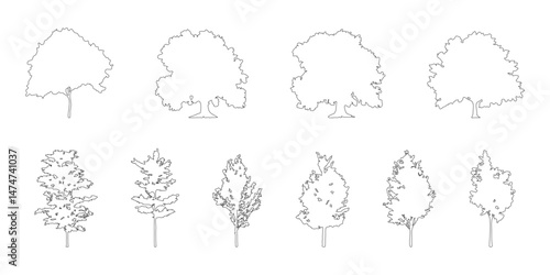 silhouette tree line drawing set, Side view, set of graphics trees elements outline symbol for architecture and landscape design drawing. Vector illustration in stroke fill in white. Tropical
