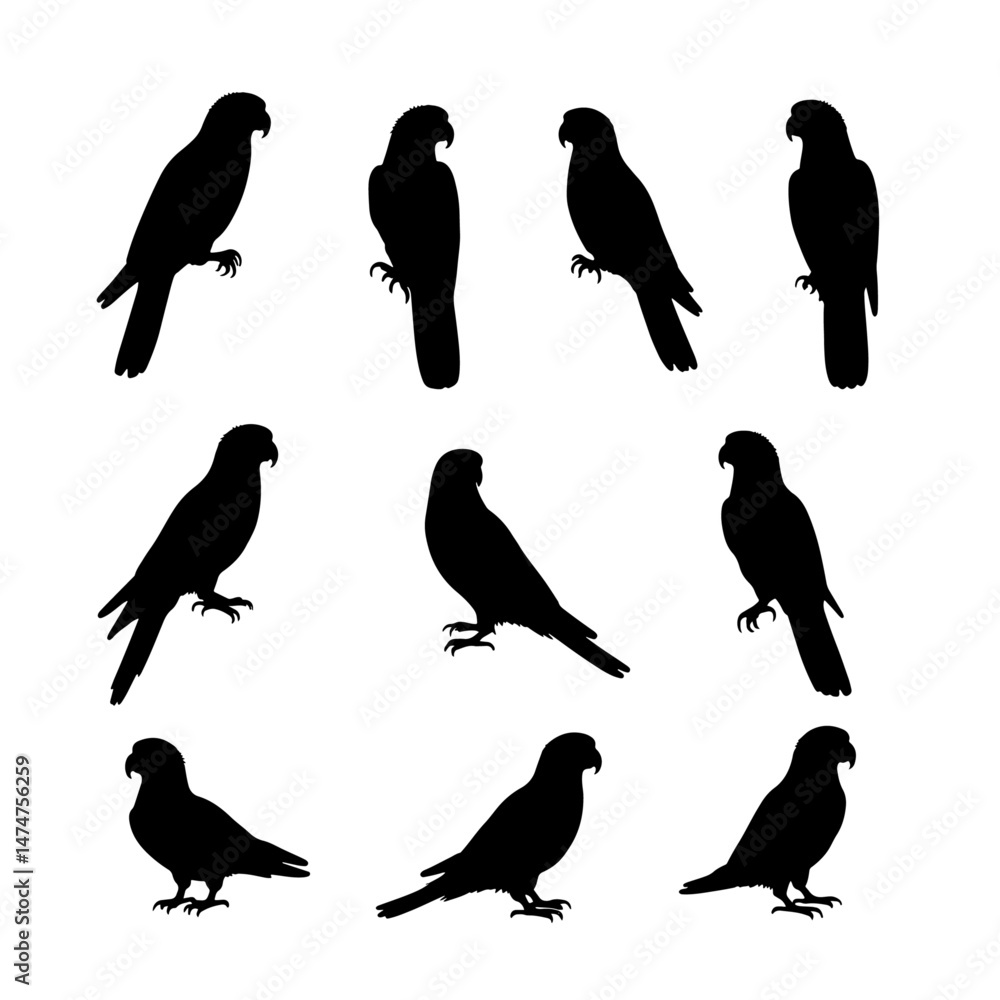 Naklejka premium Set of different birds vector silhouettes. Black monochrome hand drawn illustrations isolated on white backgriund