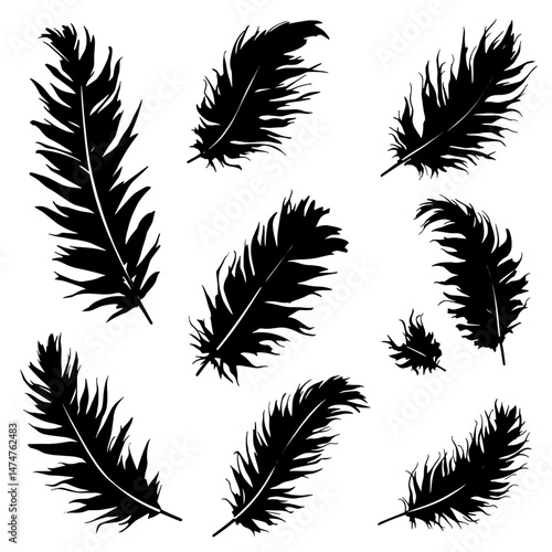 soft bird plumage set. Big set of bird feathers design. fluffy swan. Pen icons design. set of bird feathers design Vector Black silhouettes. with white background