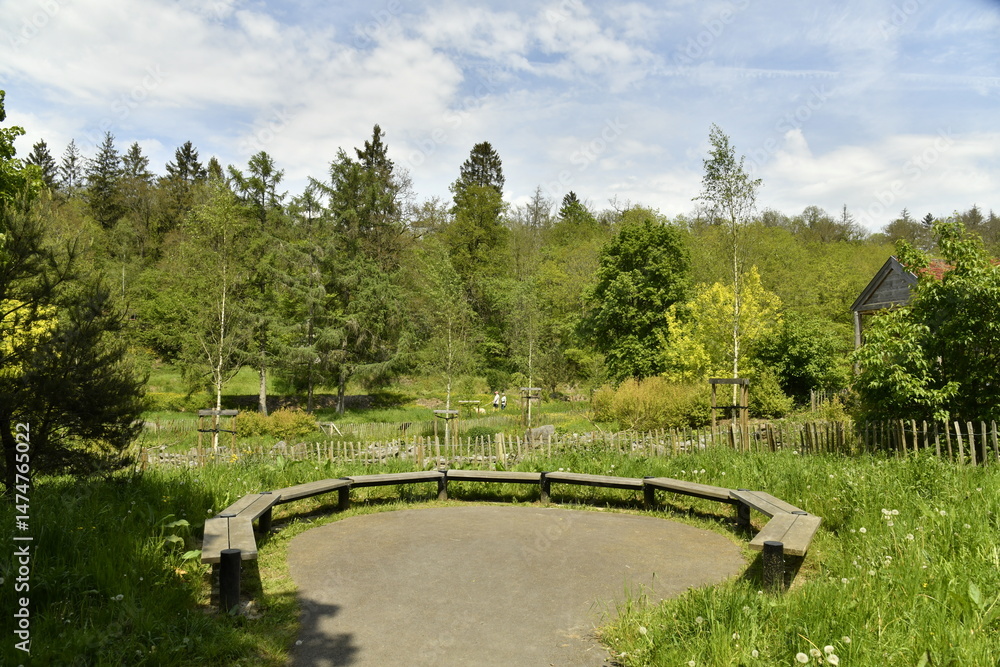 Fototapeta premium Bancs en demi-cercles en pleine végétation luxuriante au domaine provincial de Chevetogne à Ciney 
