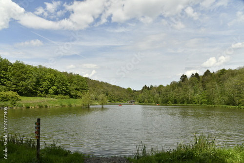 Le lac principal sous un ciel d'été en pleine végétation luxuriante au domaine provincial de Chevetogne à Ciney (Dinant) 