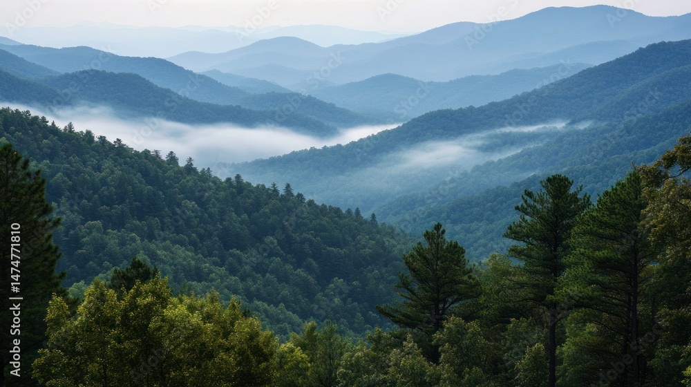 Serene mountain landscape with layered hills, mist rising in the valleys, showcasing nature's tranquility Serene mountain landscape with layered hills, mist rising in the valleys, showcasing nature's tranquility
