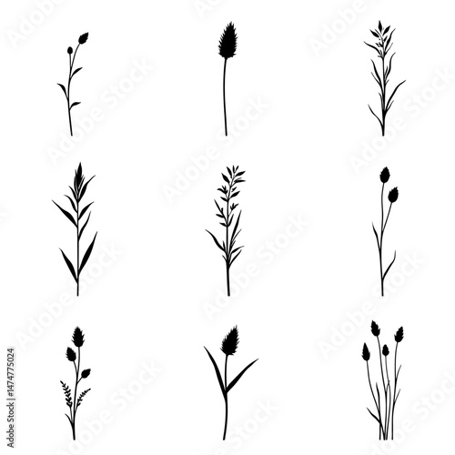 Grass silhouette set in white background

