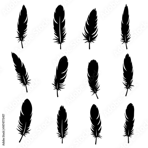soft bird plumage set. Big set of bird feathers design. fluffy swan. Pen icons design. set of bird feathers design Vector Black silhouettes. with white background
