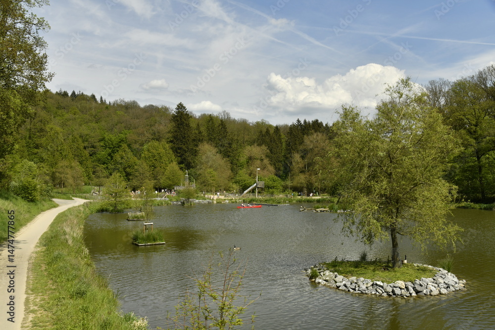 Fototapeta premium Le lac principal en pleine forêt au domaine provincial de Chevetogne à Ciney (Dinant)