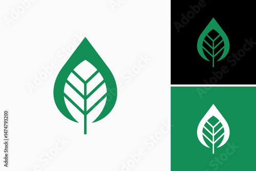 Leaf Vector Logo Premium 