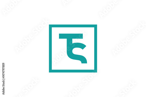 TS Vector Logo Premium 
