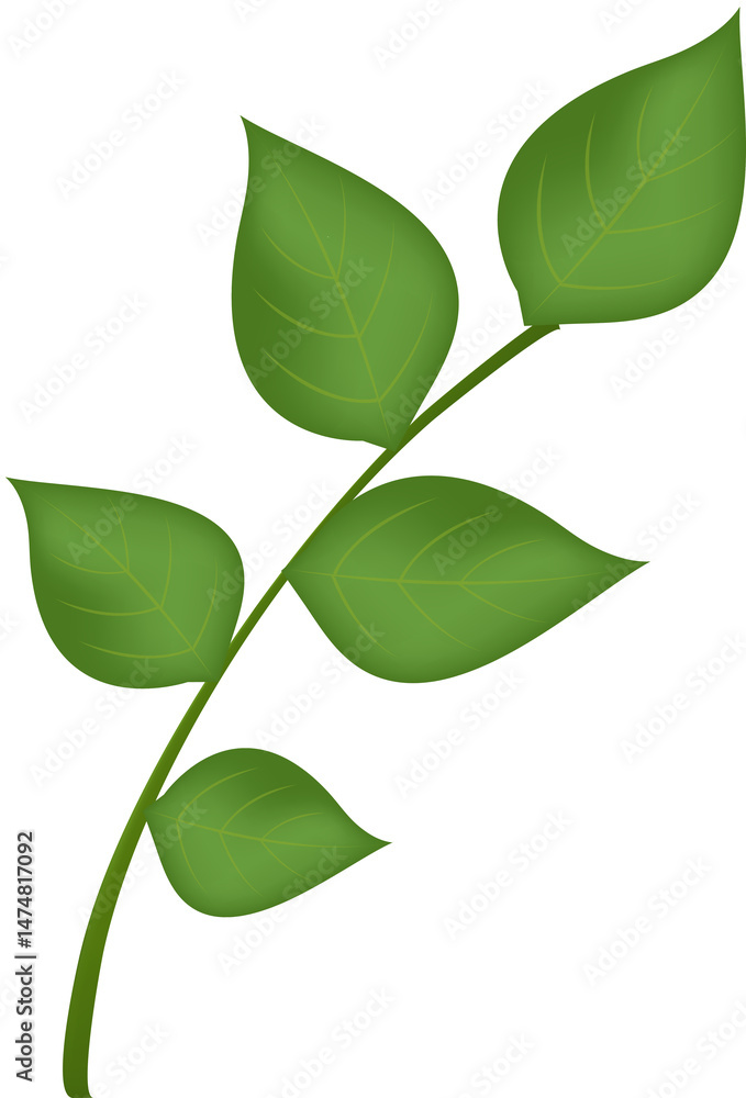 Simple Green Leafy Branch Graphic Simple Green Leafy Branch Graphic