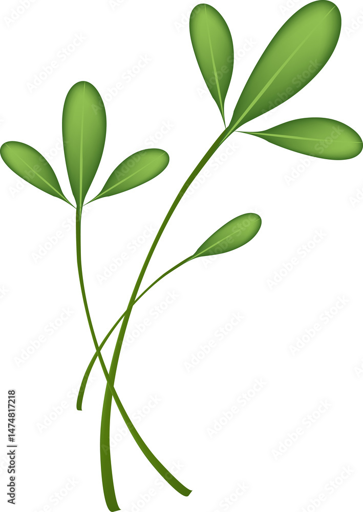 Fototapeta premium Simple Crossed Green Stems with Leaves