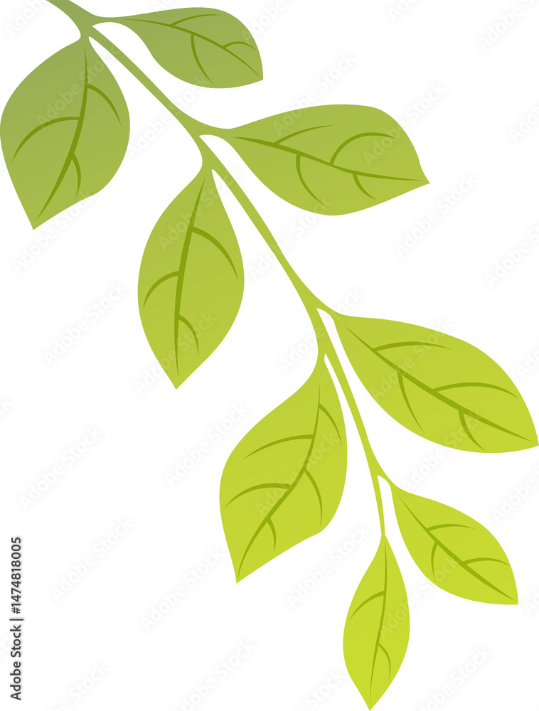 Green Leafy Branch Graphic Green Leafy Branch Graphic