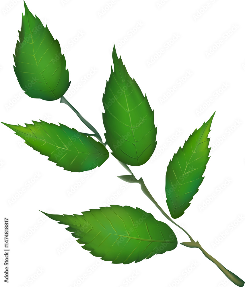 Green Leafy Branch Graphic Green Leafy Branch Graphic