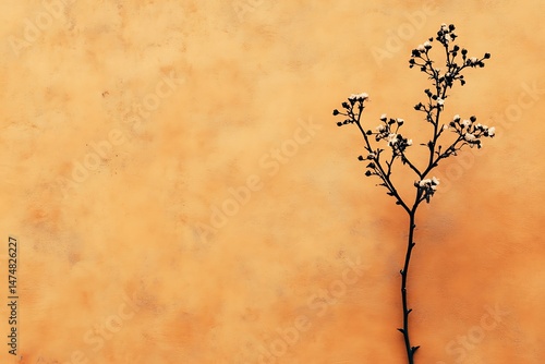 Floral silhouette against textured orange backdrop