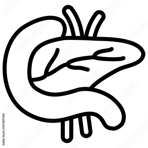 Pancreas Icon