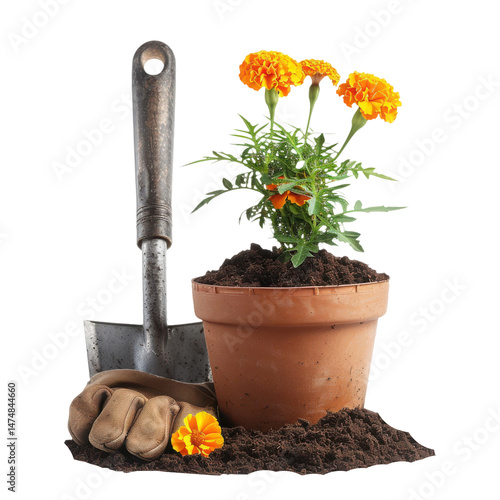 Garden spade and gloves resting beside soil, Isolated Transparent Background photo
