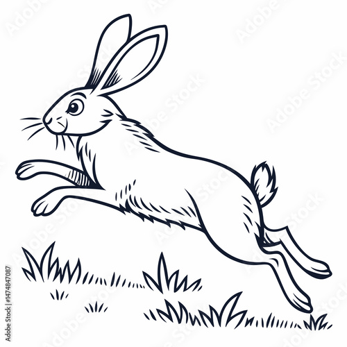 rabbit with a carrot