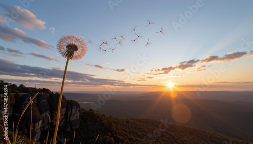 A single dandelion puff releasing seeds into a sunrise sky from a cliffside, distant forests below, soft ambient lighting, extremely clean 8K resolution, high realism with nature focused detailing.