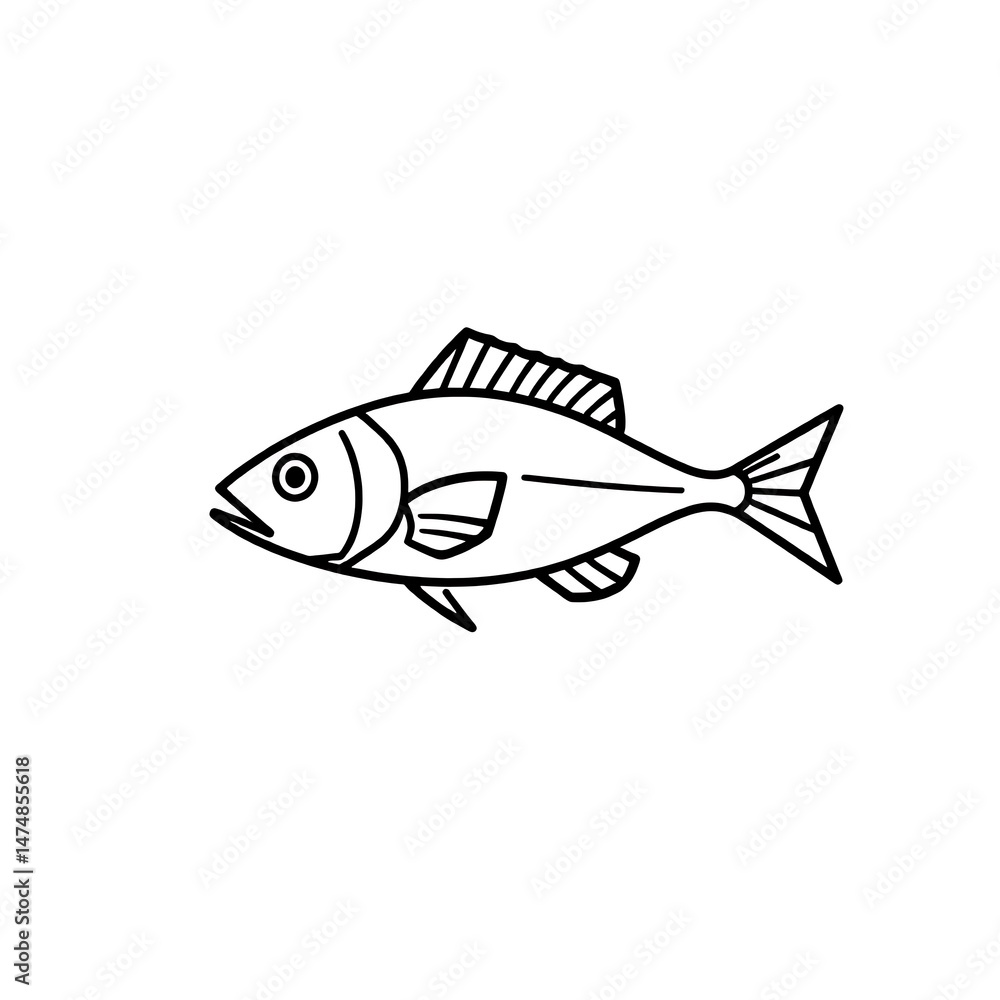 Fototapeta premium black and white verities fish line art vector