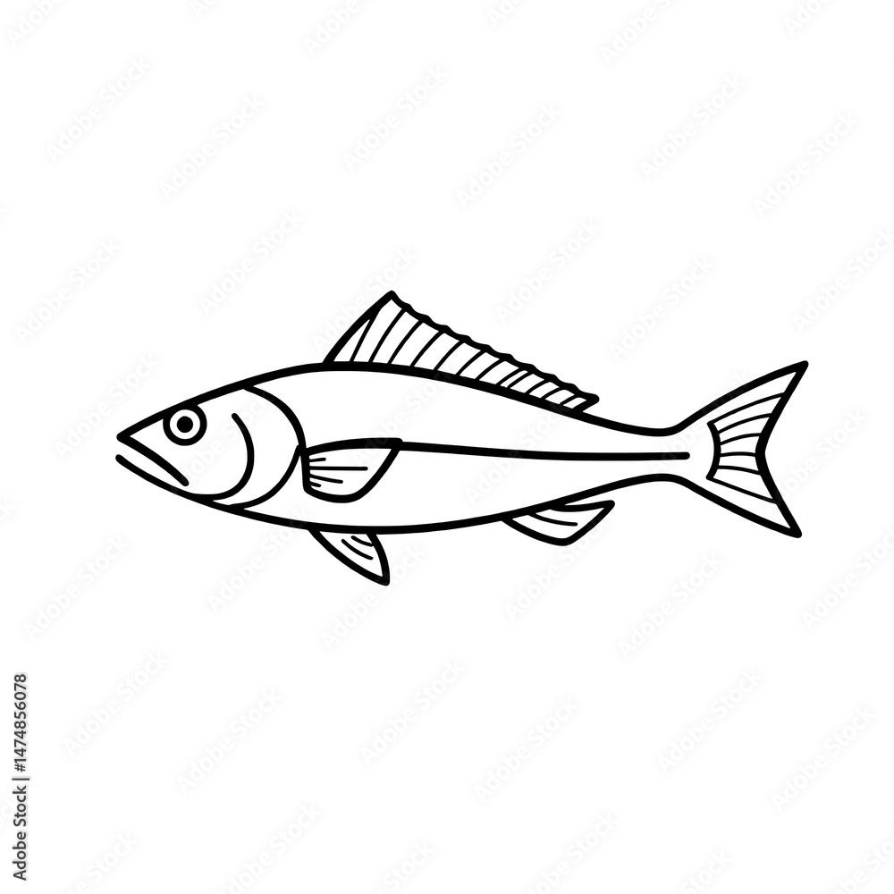 Fototapeta premium black and white verities fish line art vector