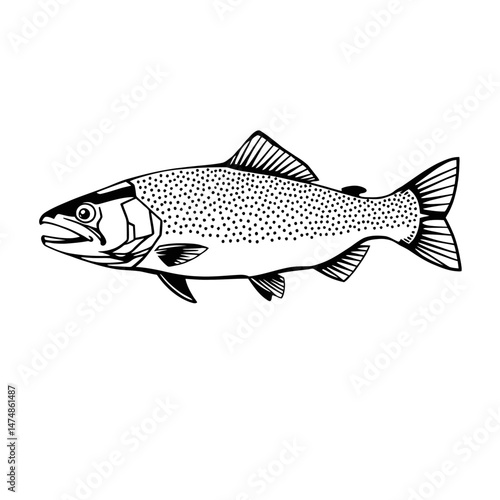 Sleek Fish Line Drawing