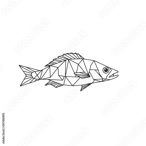 Fish with Intricate Pattern