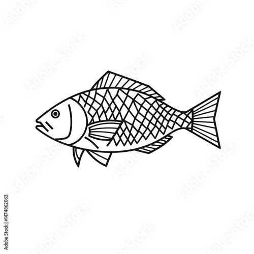 Minimal Fish Line Art