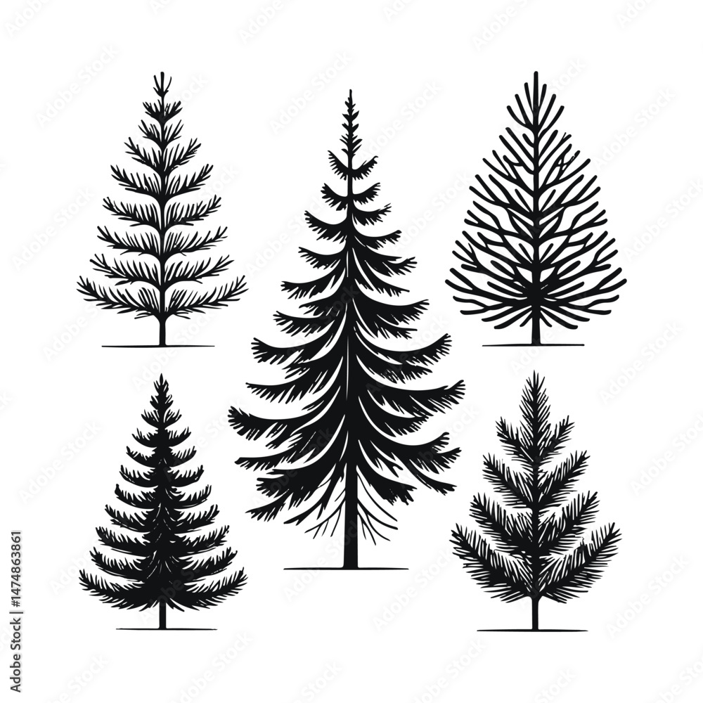 Obraz premium Collection of Hand-Drawn Evergreen Trees Black and White Silhouettes