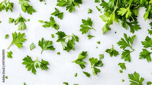 Scattered fresh parsley leaves on a white textured background surface