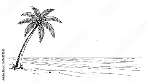 palm tree on tropical beach hand drawn vector sketch