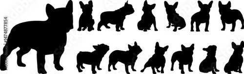 silhouette set of dog, french bulldog, vector