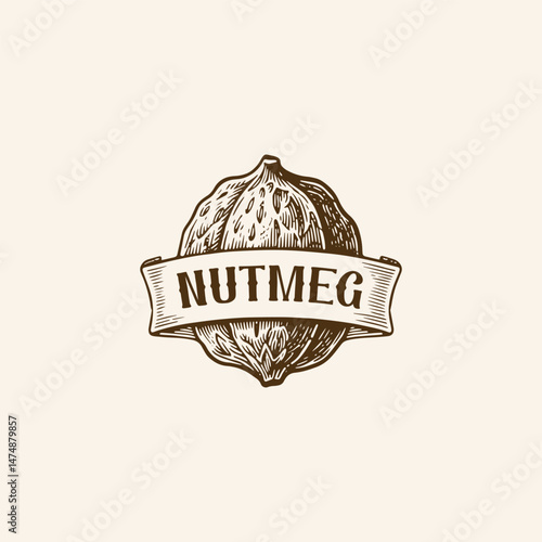 Nutmeg logo engraving style design template vintage