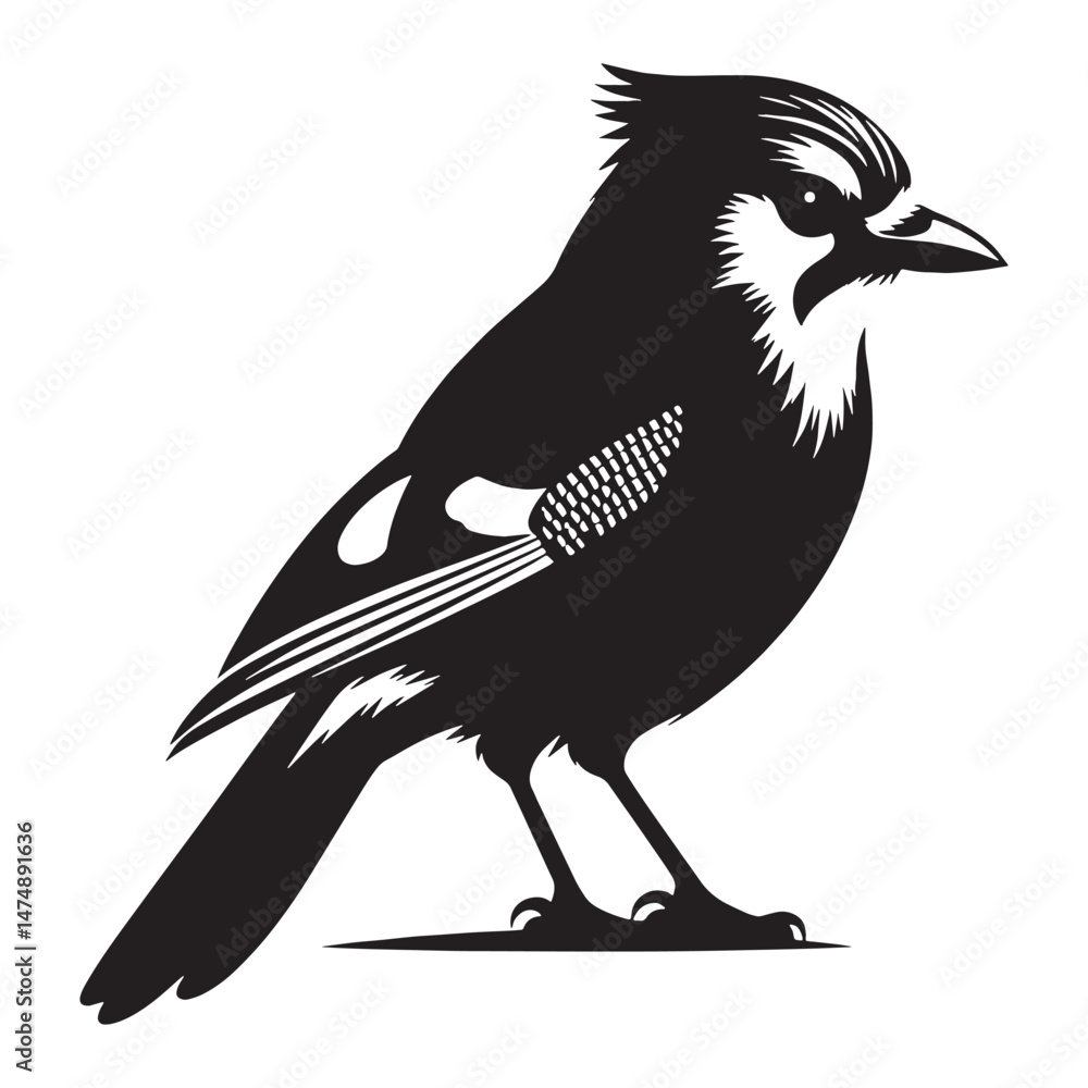 Obraz premium Feathered Alert in Blue Jay silhouette – Blue Jay illustration – Minimalist Blue Jay vector – Bird silhouette