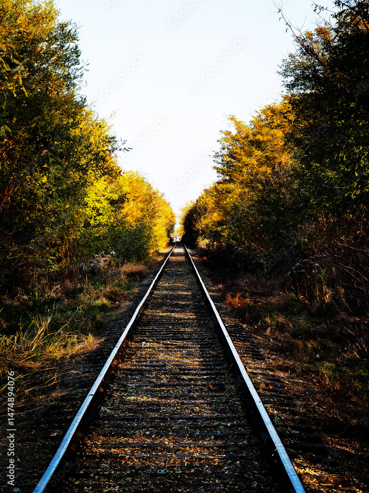 Fototapeta premium Railway tracks in the autumn forest. Travel and tourism concept