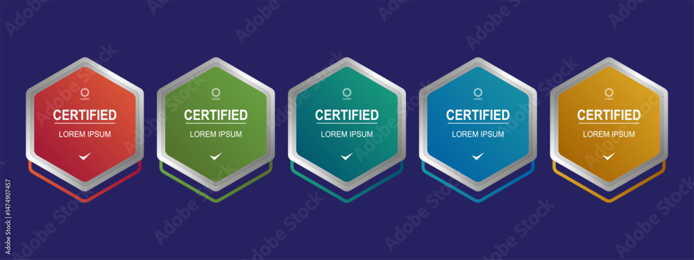 Certificate badge hexagon template for business company vector illustration Certificate badge hexagon template for business company vector illustration