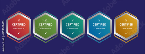 Certificate badge hexagon template for business company vector illustration