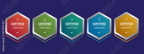 Certificate badge hexagon template for business company vector illustration