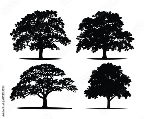 Vintage Linden Tree Silhouette Vector Design