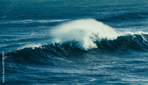 Fototapeta Naklejka Na Ścianę i Meble -  wave of the sea