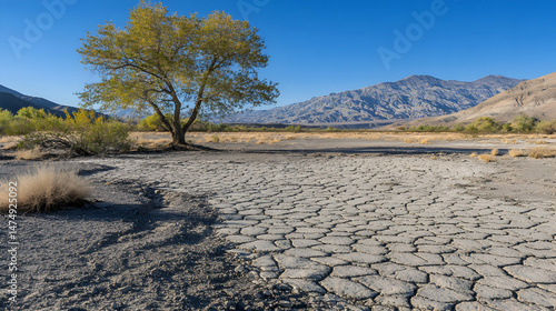 Cracked earth dries near mountain under clear sky landscape aridness
