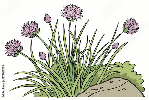79 chives, purple flowers, vibrant colors, natural light, fresh greens, floral arrangement, botanical, artistic, high detail