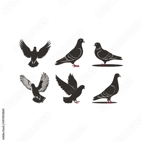 set of pigeons