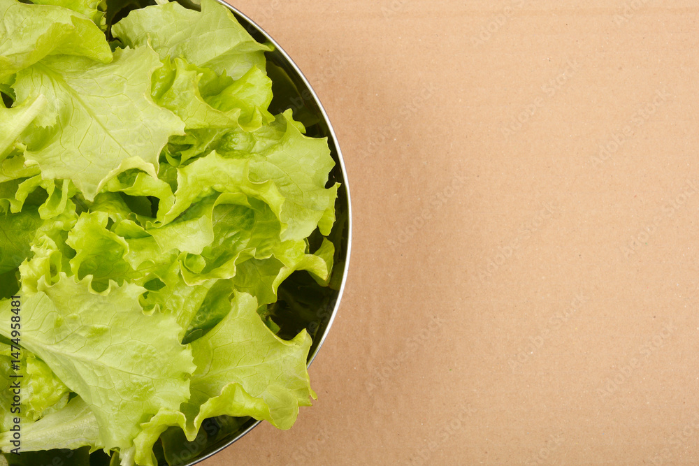 A top-down close-up shows fresh, vibrant green lettuce leaves filling a round stainless steel bowl