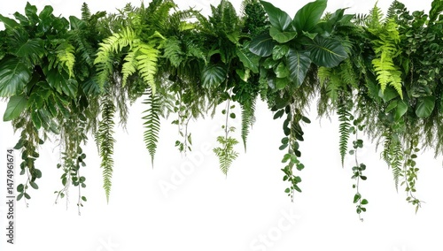 Lush greenery hanging cascade.? Vivid green foliage, various types of plants, ferns, and vines create a cascading, hanging display against a plain white background