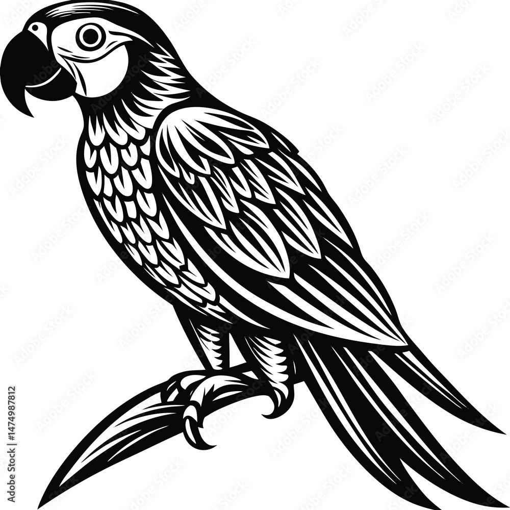 Adobe IllustraSouth American rainforest blue and gold macaw flying parrottor Artwork Adobe IllustraSouth American rainforest blue and gold macaw flying parrottor Artwork