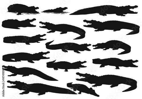 Wallpaper Mural Crocodile alligator vector silhouettes collection graphic design predator reptiles wildlife animal illustration on transparent background


 Torontodigital.ca