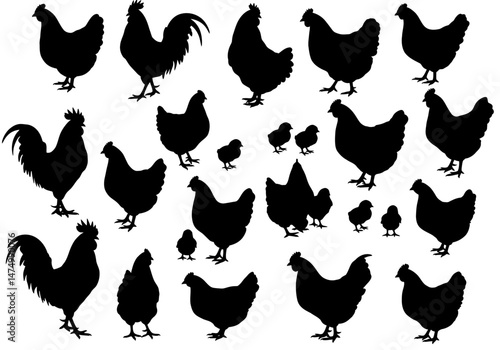 Chicken silhouette vector set, hen, rooster, and chick collection, farm animals, poultry, black and white art on transparent background


