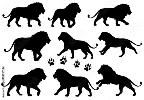 Lion silhouette vector art collection, animal illustration, wildlife design, african predator, king of beasts on transparent background


