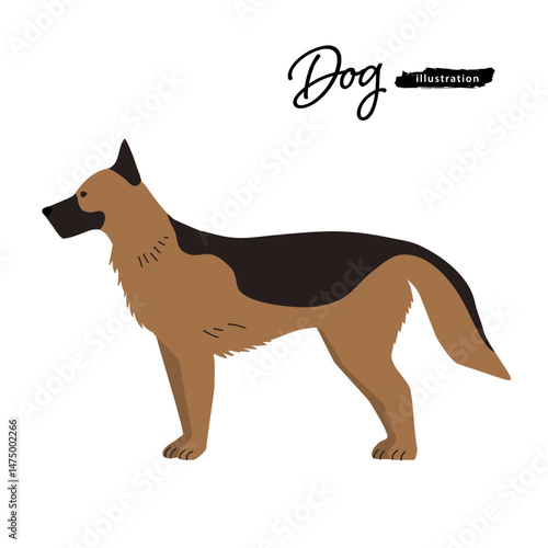 犬のイラスト_シェパード