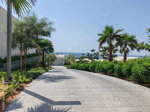 Obraz na plátně Interlock path with stairs and road between landscaping area